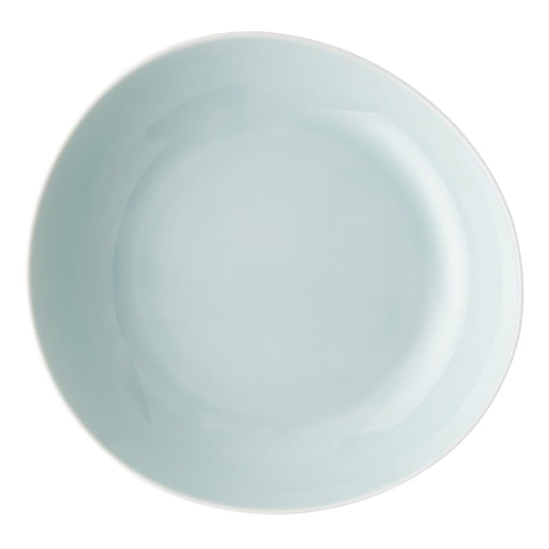 Plate 22 cm deep