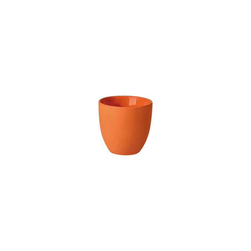 Lungo double-walled